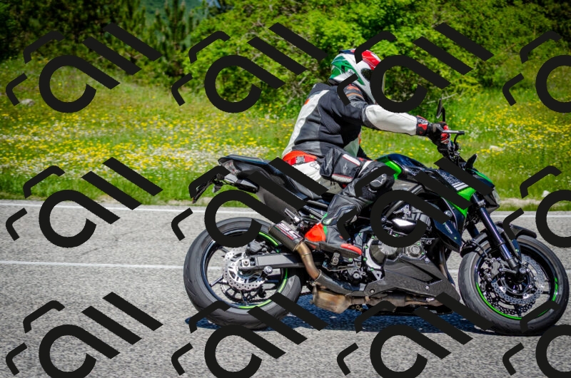 202506011224-DSC_4077_c2