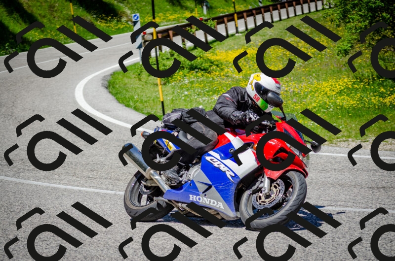 202506011225-DSC_4084_c2