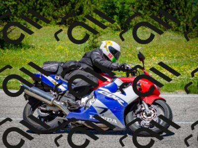 202506011225-DSC_4085_c2