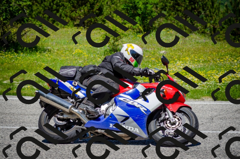 202506011225-DSC_4085_c2