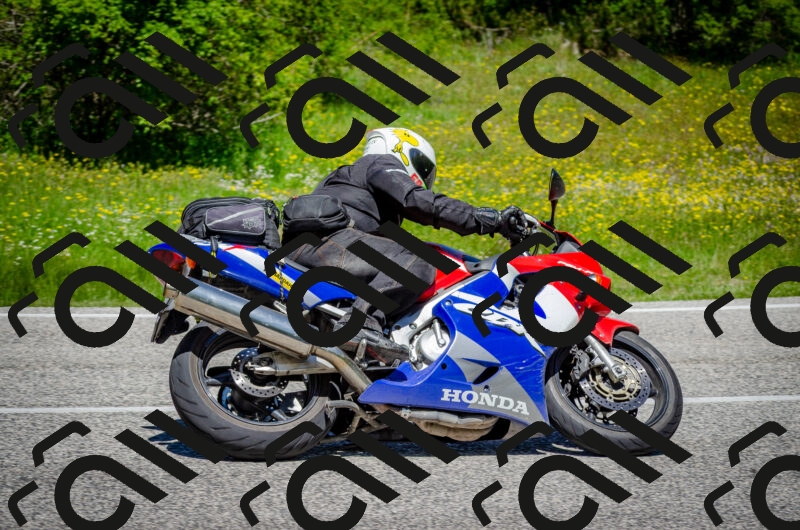 202506011225-DSC_4086_c2