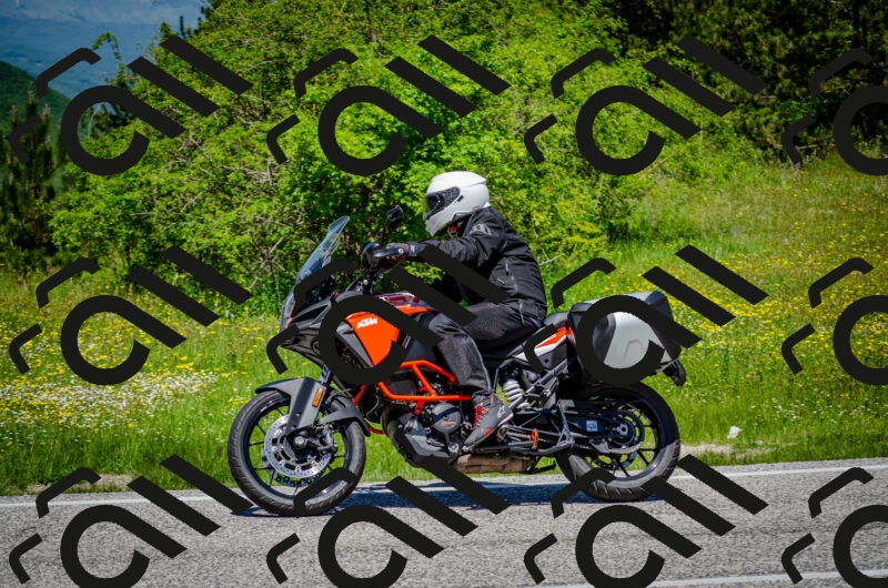 202506011225-DSC_4091_c2