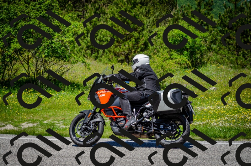 202506011225-DSC_4092_c2