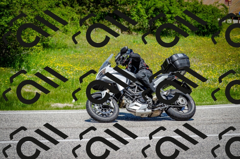 202506011225-DSC_4097_c2