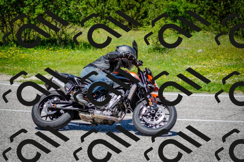 202506011225-DSC_4104_c2