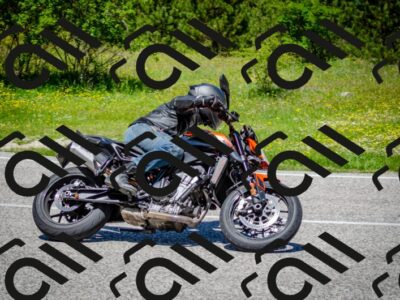 202506011225-DSC_4104_c2