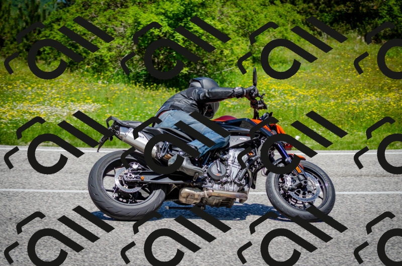 202506011225-DSC_4105_c2