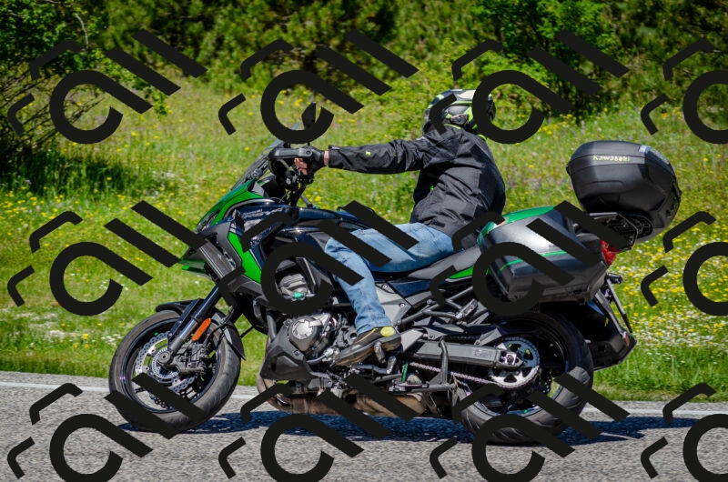 202506011226-DSC_4112_c2