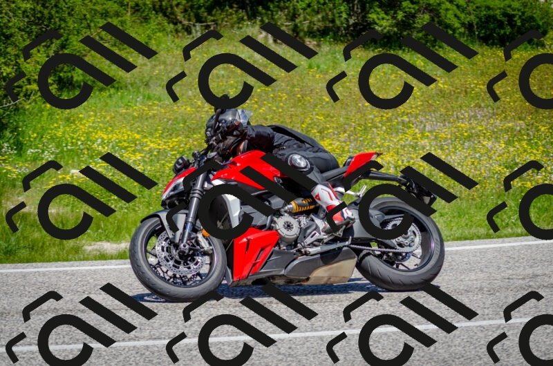 202506011226-DSC_4115_c2