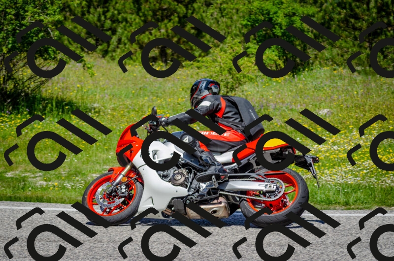 202506011226-DSC_4117_c2