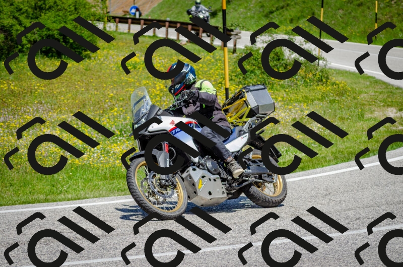 202506011227-DSC_4118_c2