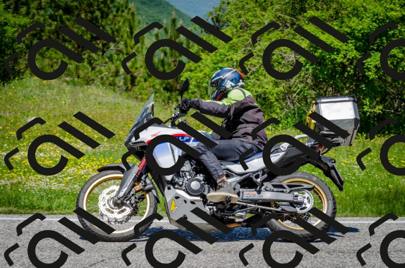 202506011227-DSC_4119_c2