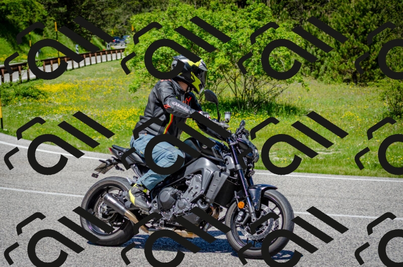 202506011227-DSC_4122_c2