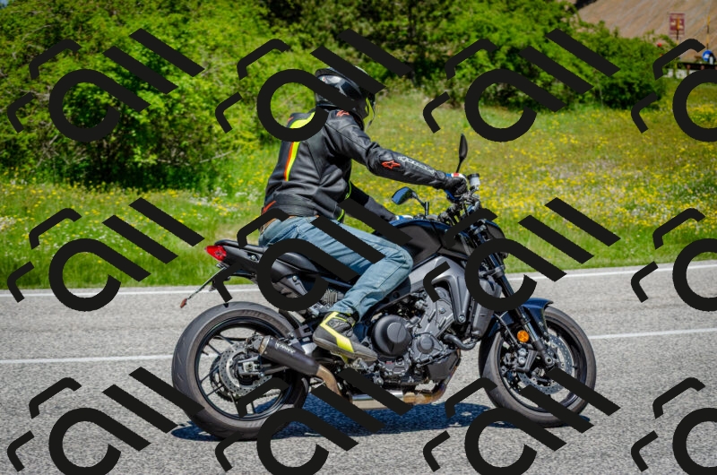 202506011227-DSC_4123_c2