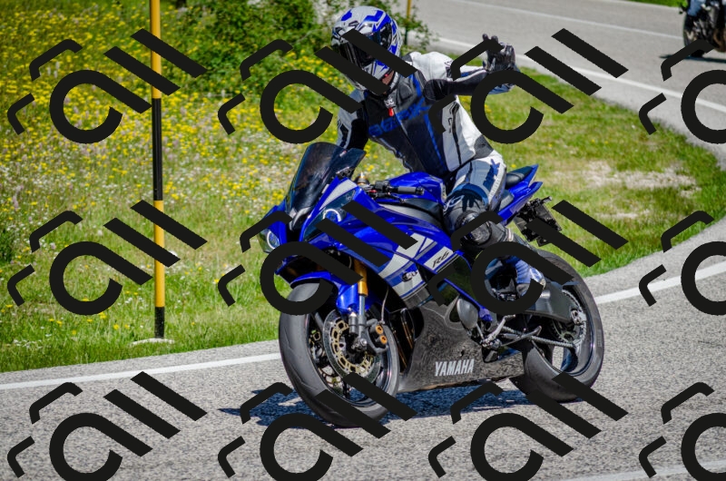 202506011227-DSC_4125_c2