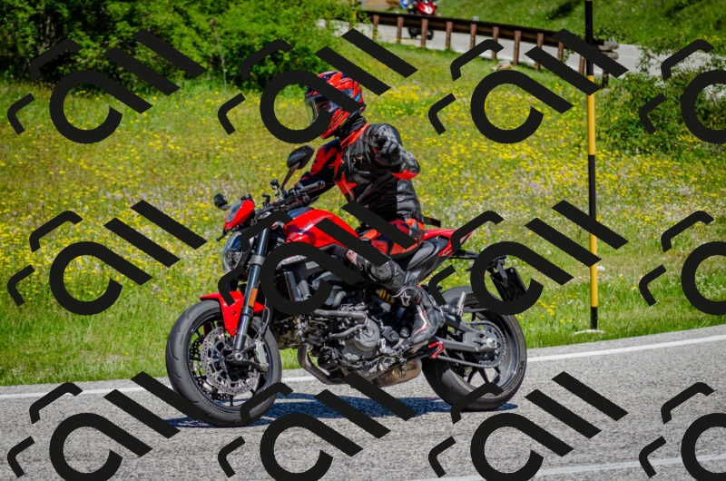 202506011227-DSC_4127_c2