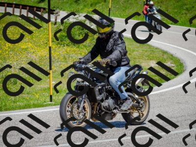 202506011227-DSC_4130_c2