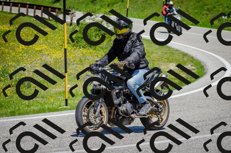 202506011227-DSC_4130_c2