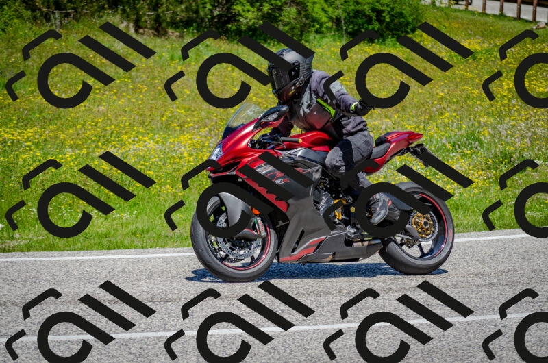 202506011227-DSC_4131_c2