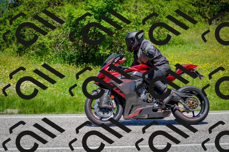 202506011227-DSC_4132_c2