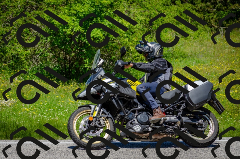 202506011227-DSC_4134_c2