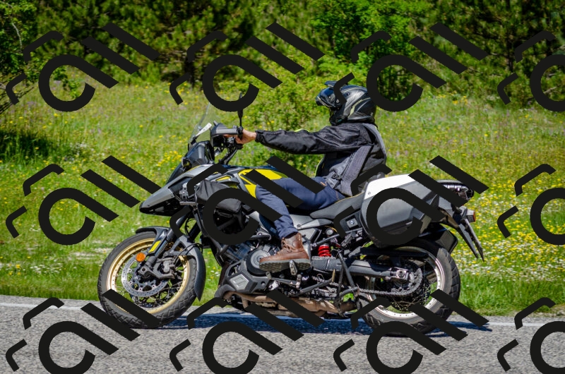 202506011227-DSC_4135_c2