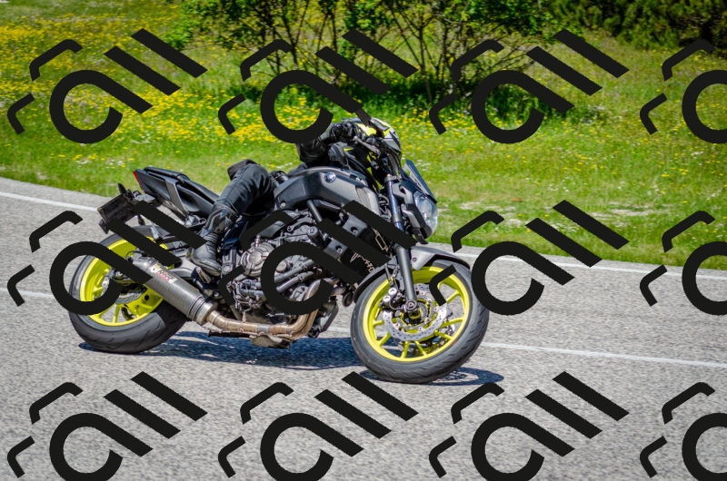 202506011227-DSC_4137_c2