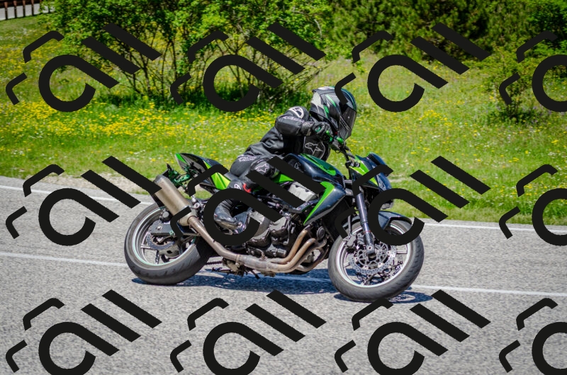 202506011227-DSC_4143_c2