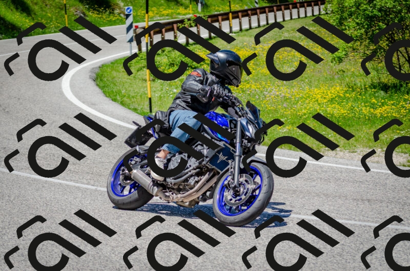 202506011227-DSC_4145_c2