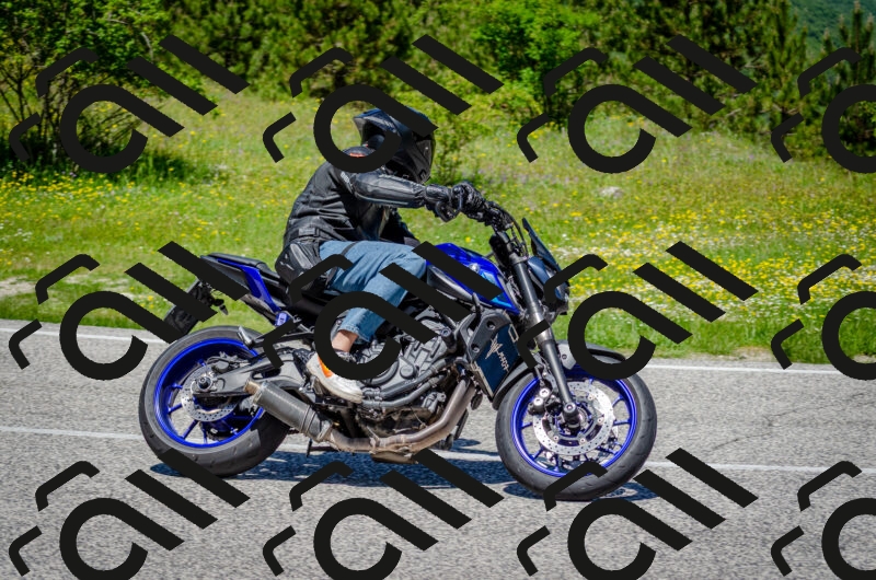 202506011227-DSC_4146_c2