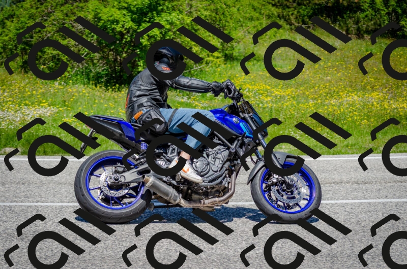 202506011227-DSC_4147_c2