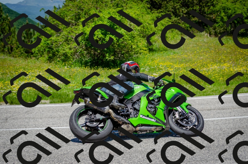 202506011228-DSC_4153_c2