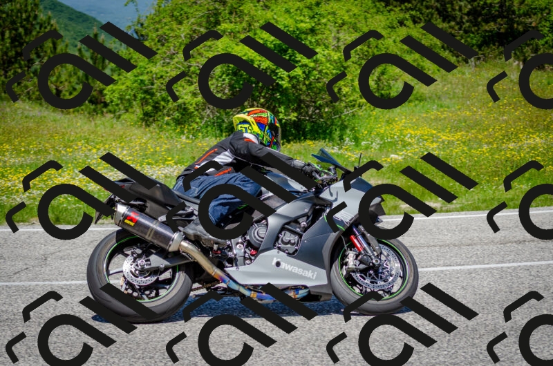 202506011228-DSC_4159_c2