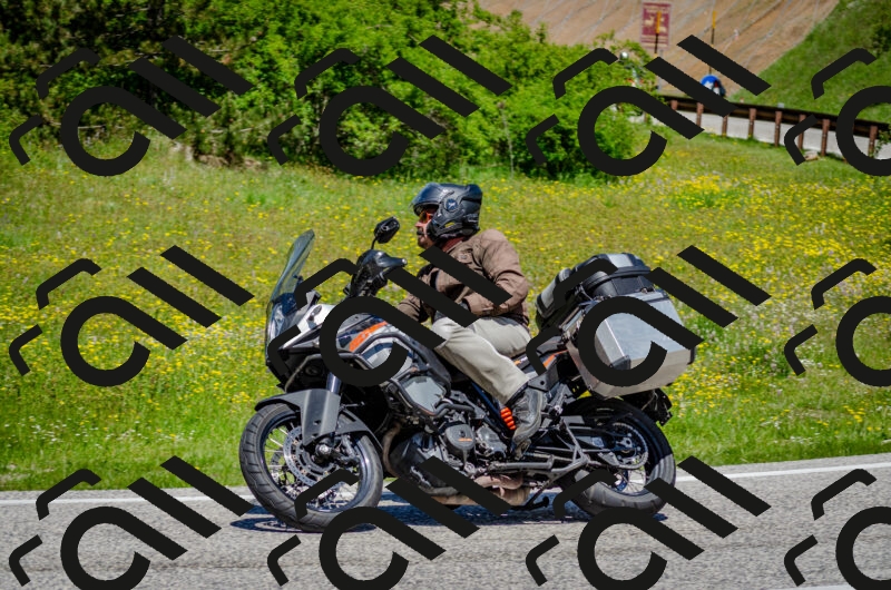 202506011228-DSC_4162_c2