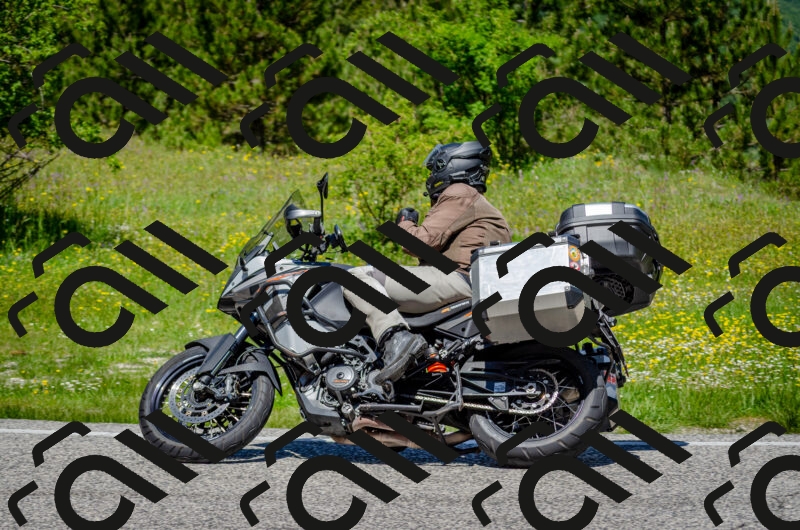 202506011228-DSC_4163_c2