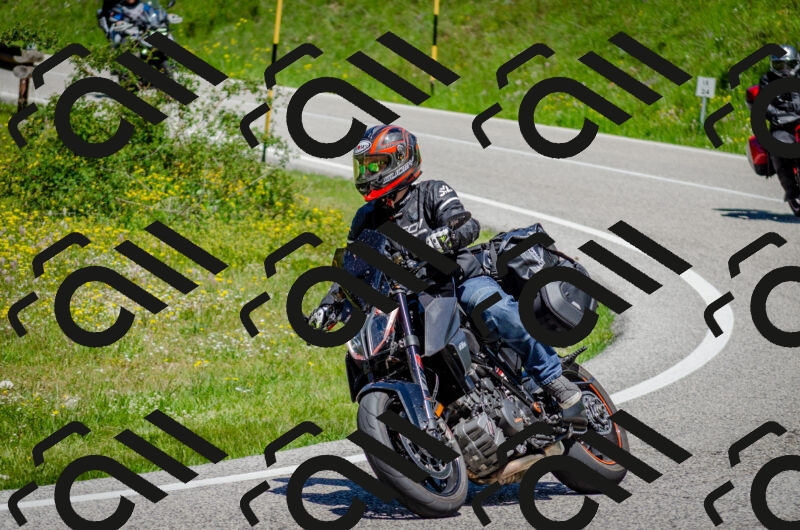 202506011228-DSC_4164_c2