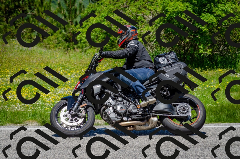 202506011228-DSC_4166_c2