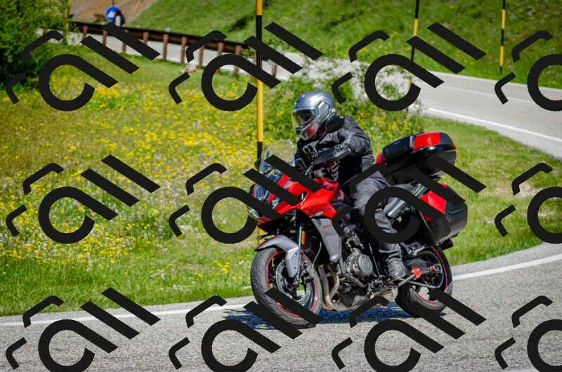 202506011228-DSC_4167_c2