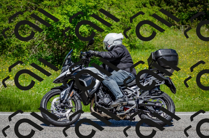 202506011228-DSC_4172_c2