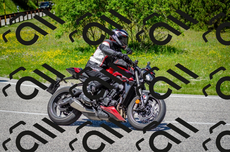 202506011228-DSC_4173_c2