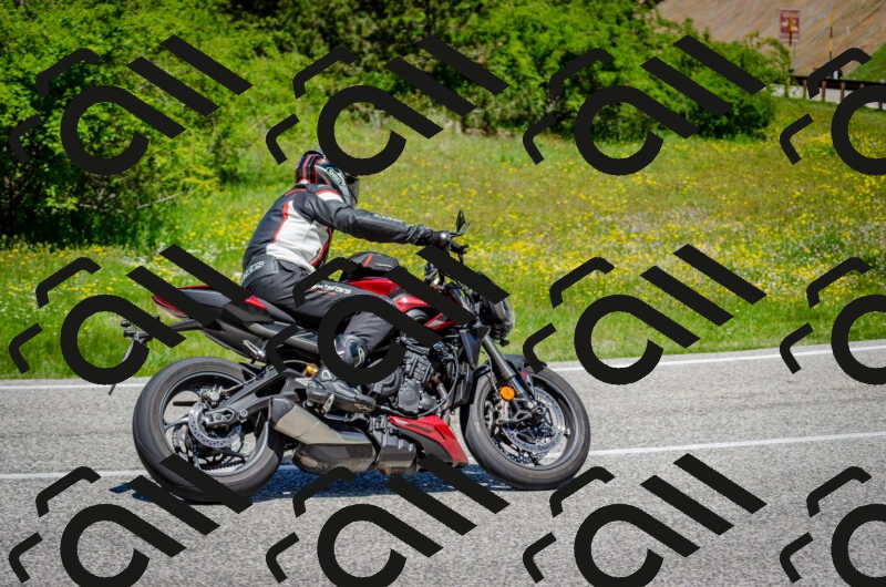 202506011228-DSC_4174_c2