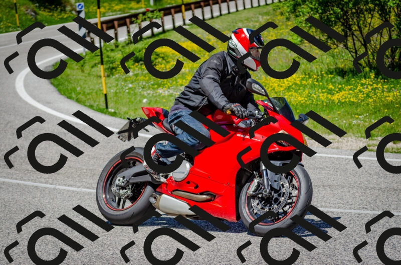 202506011229-DSC_4178_c2