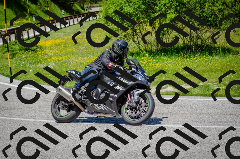 202506011229-DSC_4180_c2