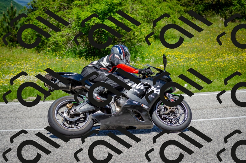 202506011229-DSC_4182_c2