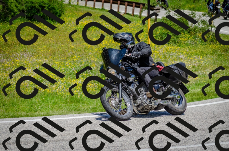 202506011229-DSC_4183_c2