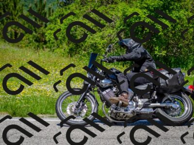 202506011229-DSC_4184_c2