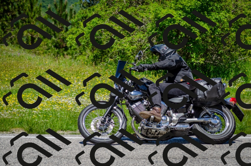 202506011229-DSC_4184_c2