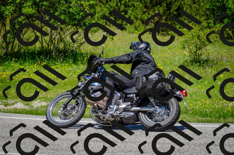 202506011229-DSC_4185_c2