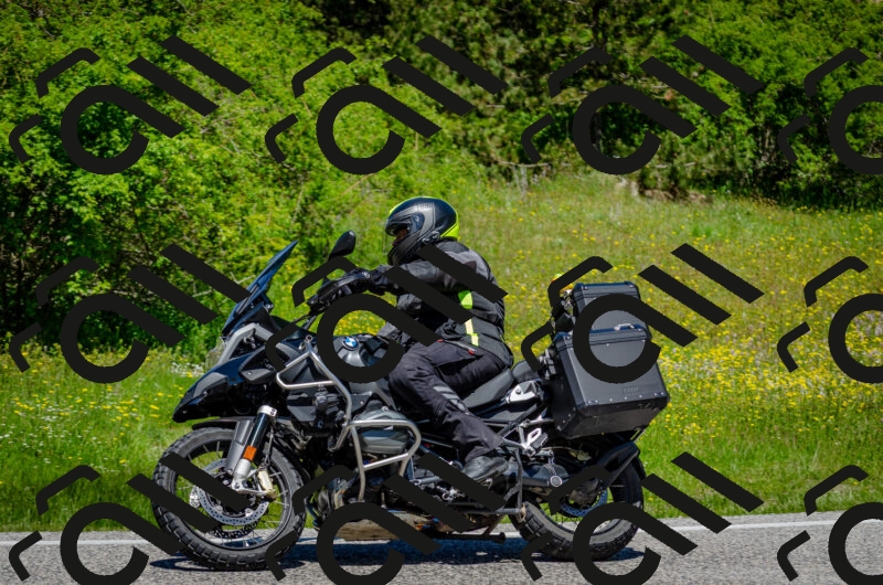 202506011229-DSC_4187_c2