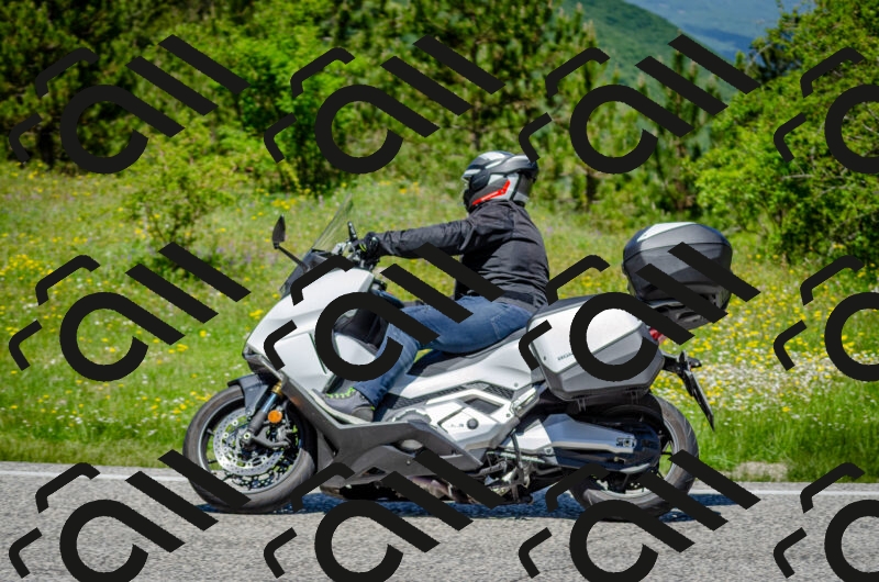 202506011229-DSC_4190_c2